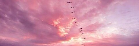 OnlyFans header picture tabithalookofsky