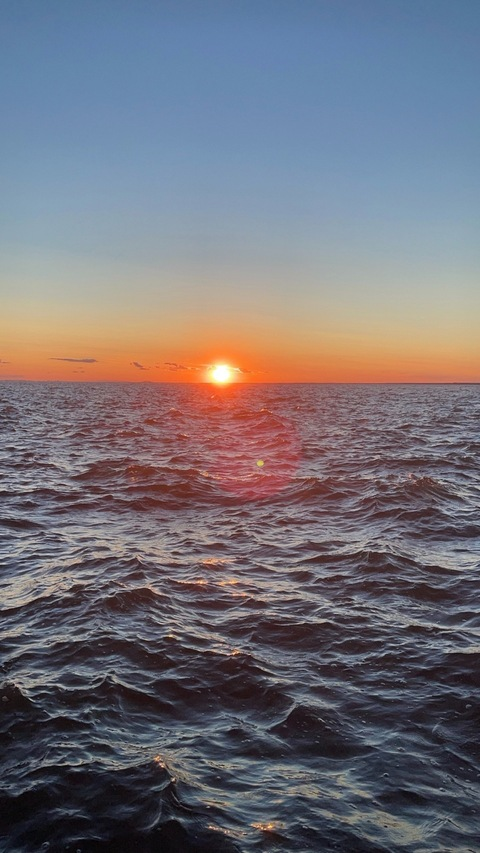 Gambar header OnlyFans tattedbkbttm_13