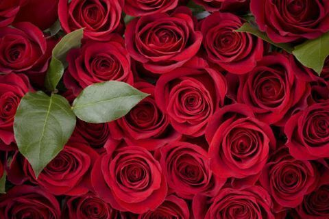 Immagine dell'intestazione OnlyFans tattedmami407