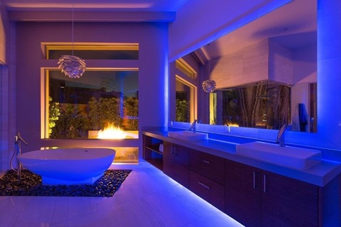 오직 팬들만 볼 수 있는 theexotickitty의 헤더 사진