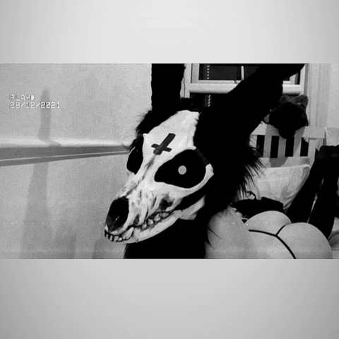 Obraz w nagłówku OnlyFans thelewdbunny