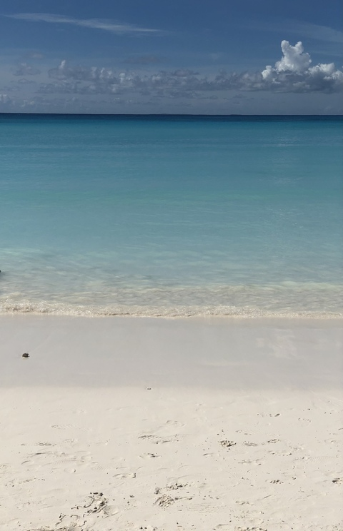 صورة رأس OnlyFans themillzyway