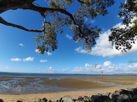 오직 팬들만 볼 수 있는 theofficialhoney_의 헤더 사진