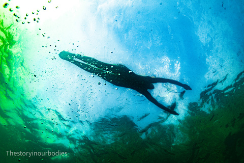 Image d'en-tête OnlyFans thestoryinourbodies