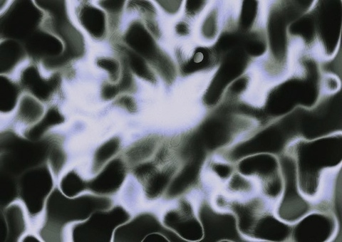 Image d'en-tête OnlyFans thrash.burn