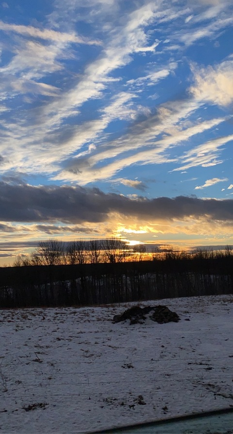 OnlyFans header picture tits.mcgee