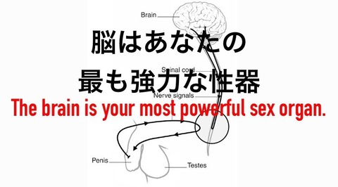 صورة رأس OnlyFans toshi011