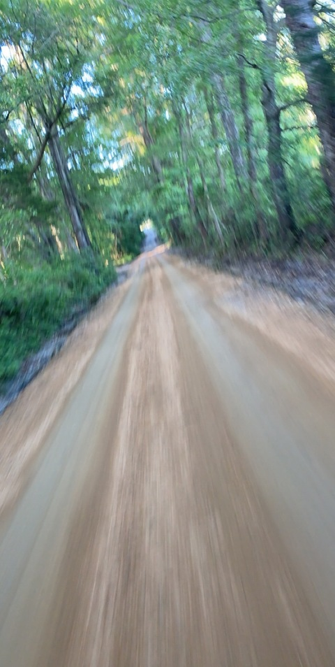 Immagine dell'intestazione OnlyFans treyce