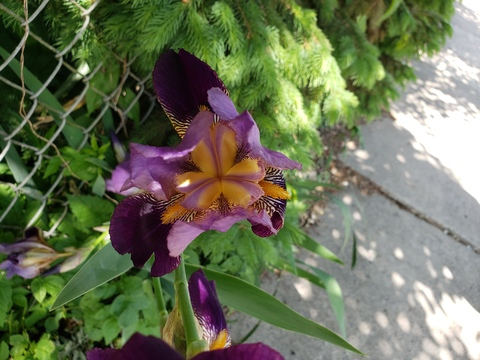 Immagine dell'intestazione OnlyFans tsren