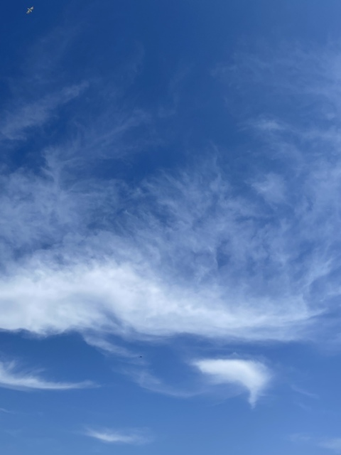 Imagen de encabezado de OnlyFans de twinkgetsnaked