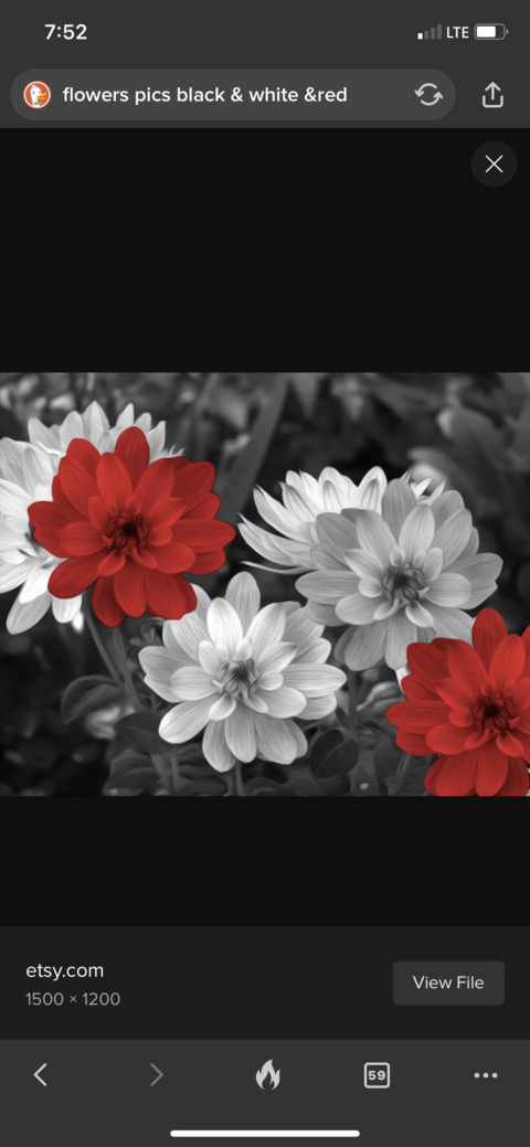 Imagen de encabezado de OnlyFans de u152837400