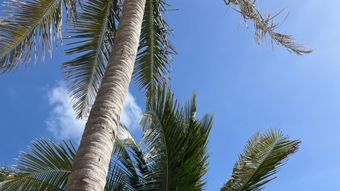 OnlyFans हेडर चित्र valrual