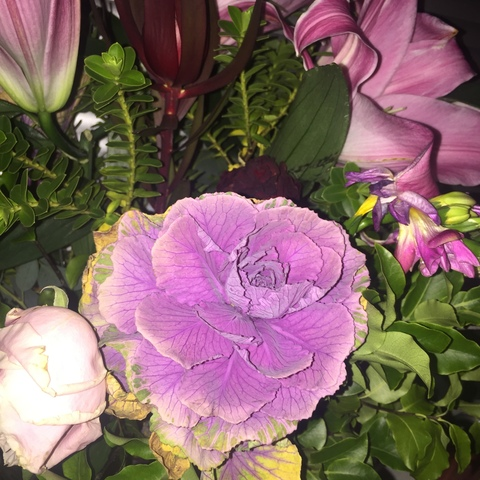 Картинка шапки OnlyFans vampyveen