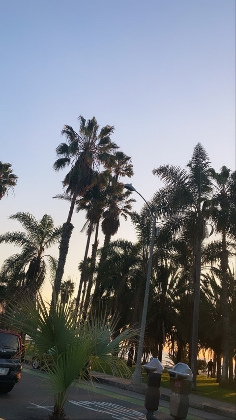 Immagine dell'intestazione OnlyFans vanillabeanyaya