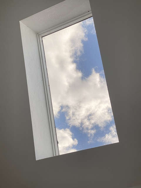 OnlyFans हेडर चित्र venus_inreverse