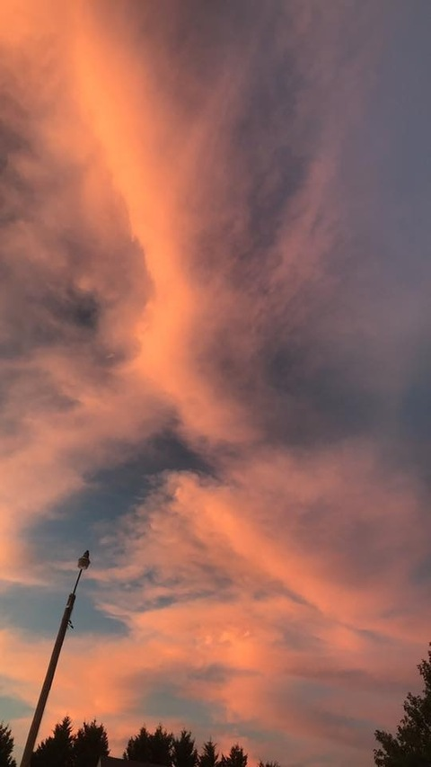 Immagine dell'intestazione OnlyFans victoriaxxx420