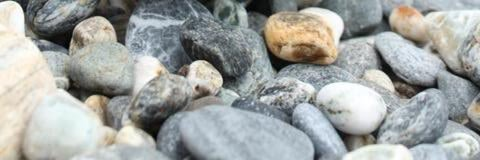 Снимка на заглавието на OnlyFans vinegartiger