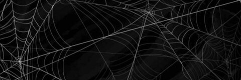 오직 팬들만 볼 수 있는 violetreigncb의 헤더 사진