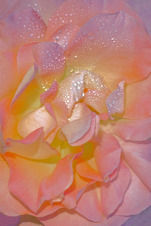 OnlyFansのヘッダー画像 w1cked_kitty