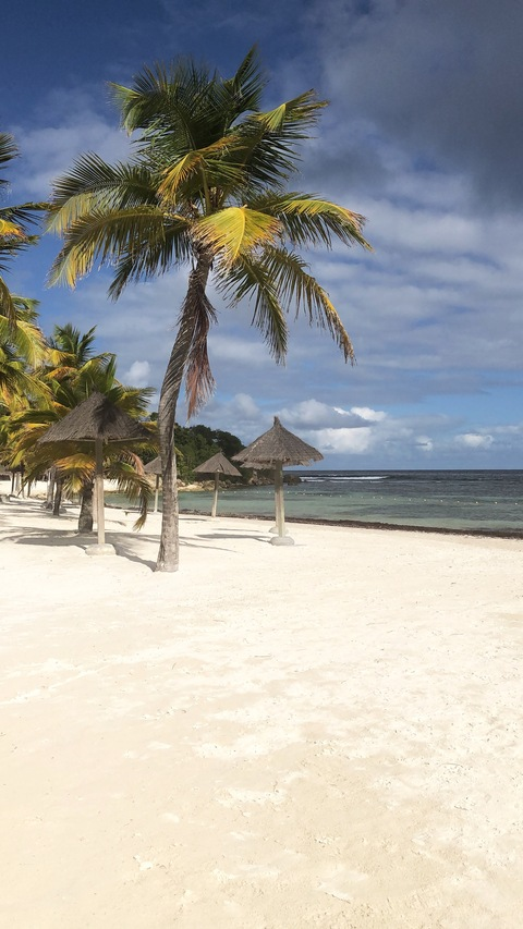 오직 팬들만 볼 수 있는 westindiesflavour의 헤더 사진