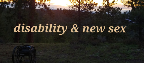 Foto de cabeçalho do OnlyFans wheelchairvvulfie