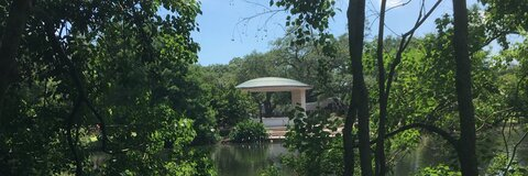 OnlyFans Header Bild wilderbippalong