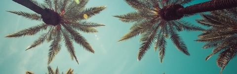 Immagine dell'intestazione OnlyFans wileycoyotexo