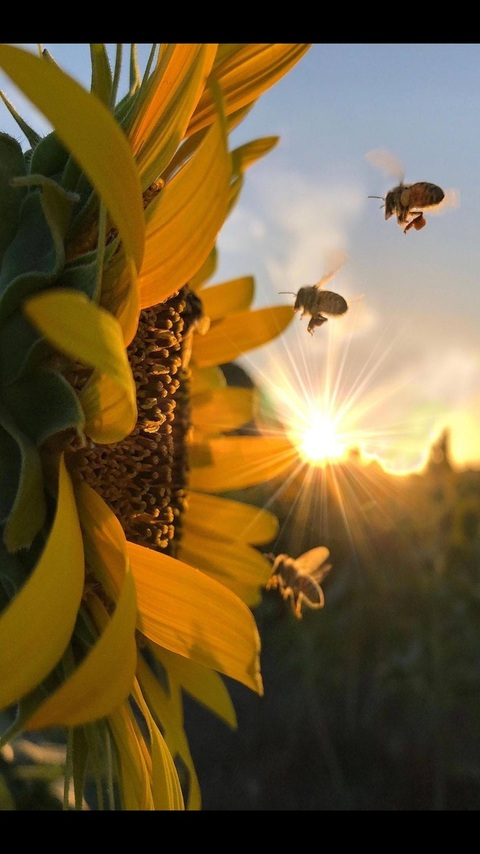 오직 팬들만 볼 수 있는 wtf_sarah의 헤더 사진