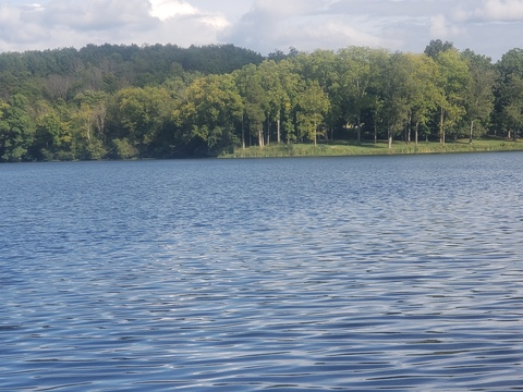 صورة رأس OnlyFans wvugirl