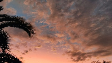 صورة رأس OnlyFans xinnn.a