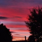 صورة الملف الشخصي لـ OnlyFans yarella