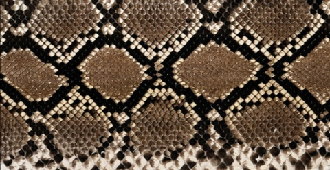 OnlyFans başlık resmi #kullanıcıadı#