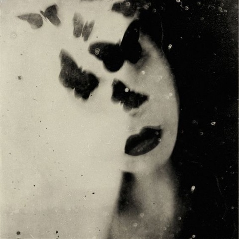 오직 팬들만 볼 수 있는 yonibug의 헤더 사진