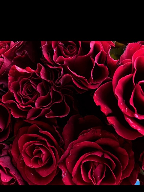 OnlyFans हेडर चित्र your_eva