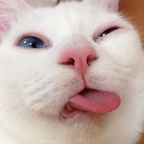 OnlyFans profil fotoğrafı yourgopnik