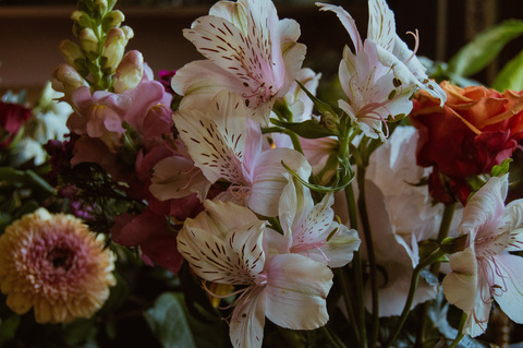 صورة رأس OnlyFans yuccaverde