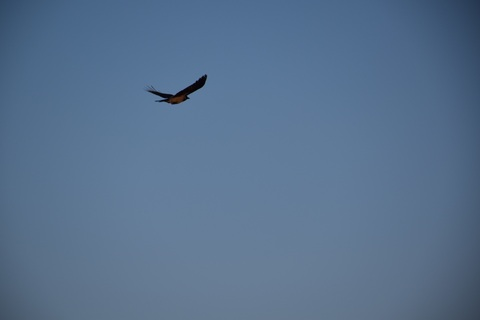 Снимка на заглавието на OnlyFans yulsonic