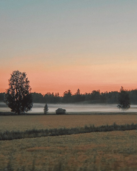 오직 팬들만 볼 수 있는 zenbroccoli의 헤더 사진