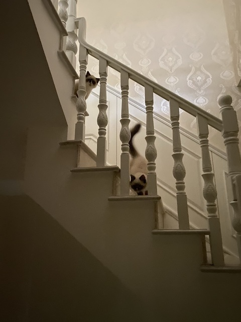 OnlyFansのヘッダー画像 zhangheyu