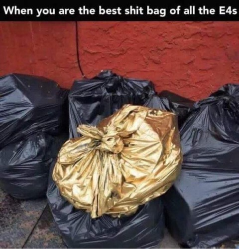 Immagine dell'intestazione OnlyFans zombieemamii