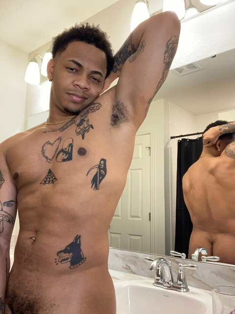 오직 팬들만 볼 수 있는 zorohub의 헤더 사진