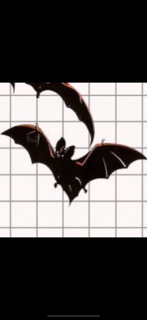 Image d'en-tête OnlyFans zsashax